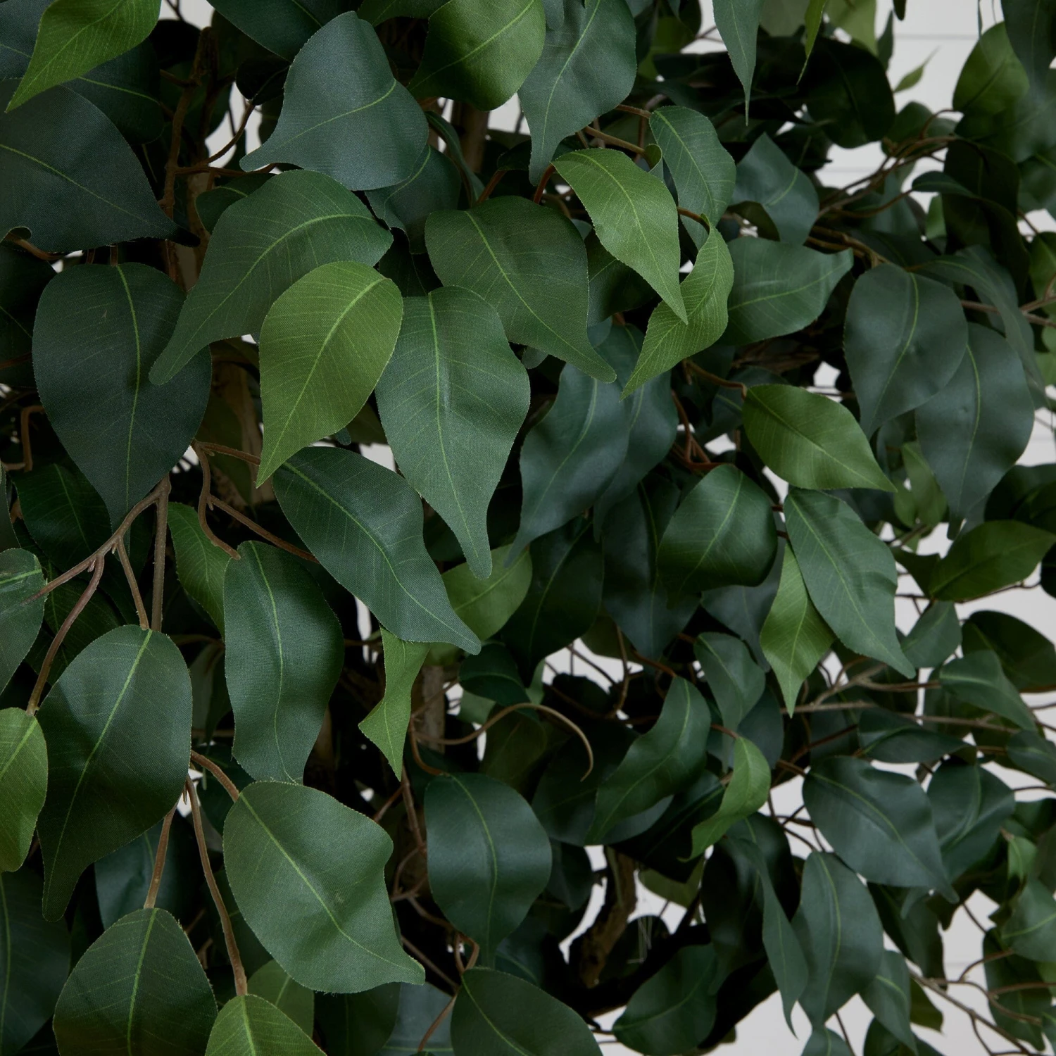 10’ Artificial Ficus Tree 5 10’ Artificial Ficus Tree - Image 3