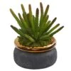 10” Cactus Artificial Plant In Black Planter With Bronze Rim -Artificial Flowers Sale artificial 10 cactus artificial plant in black planter with bronze rim nearly natural 582567