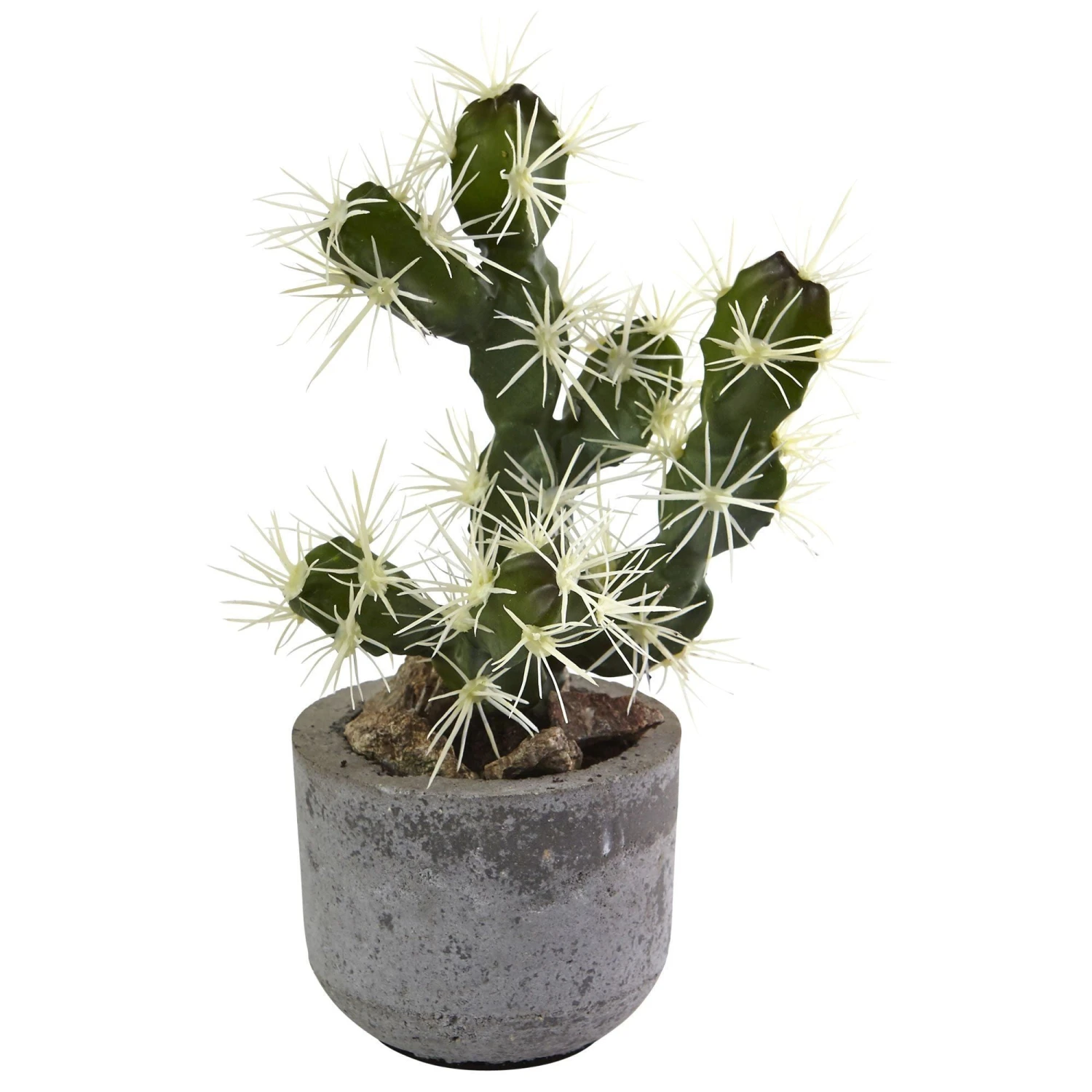 10” Cactus Potted (Set Of 2) 4 10” Cactus Potted (Set Of 2) - Image 2