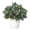 10” Olive Artificial Plant With Berries In White Planter 1 10” Olive Artificial Plant With Berries In White Planter -Artificial Flowers Sale artificial 10 olive artificial plant with berries in white planter nearly natural 807555