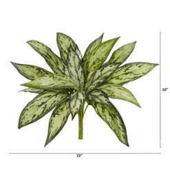 10” Silver Queen Artificial Plant (Set Of 6) -Artificial Flowers Sale artificial 10 silver queen artificial plant set of 6 nearly natural 275850