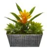 11” Bromeliad And Agave Plant In Black Tin Planter 2 11” Bromeliad And Agave Plant In Black Tin Planter -Artificial Flowers Sale artificial 11 bromeliad and agave plant in black tin planter nearly natural yellow 335545