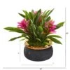 11” Bromeliad Artificial Plant In Stoneware Planter 1 11” Bromeliad Artificial Plant In Stoneware Planter -Artificial Flowers Sale artificial 11 bromeliad artificial plant in stoneware planter nearly natural 798487