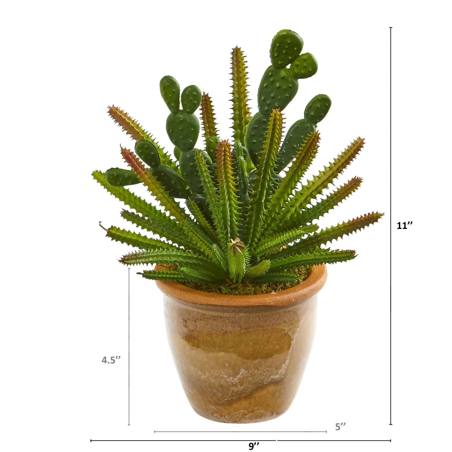 11” Cactus Artificial Plant In Ceramic Planter 4 11” Cactus Artificial Plant In Ceramic Planter - Image 2