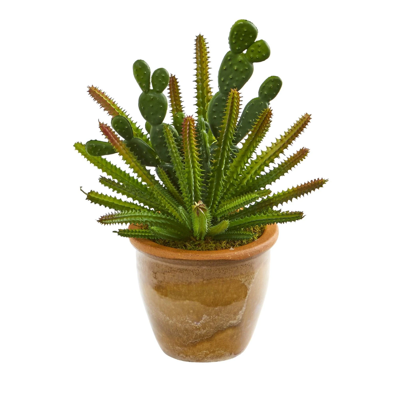 11” Cactus Artificial Plant In Ceramic Planter 3 11” Cactus Artificial Plant In Ceramic Planter