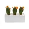 11” Cactus Succulent Artificial Plant In Glazed White Planter