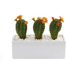 11” Cactus Succulent Artificial Plant In Glazed White Planter