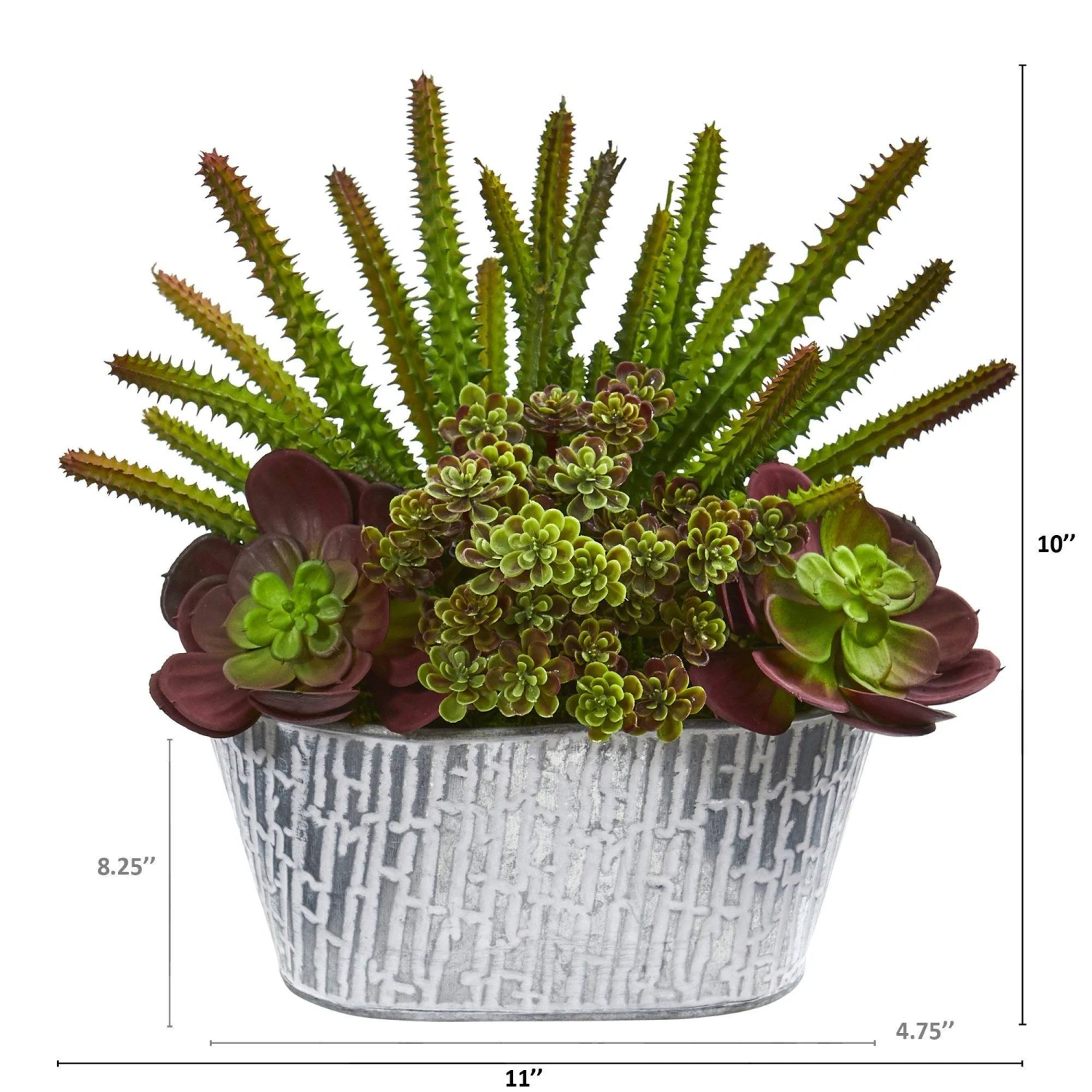 11” Echeveria And Cactus Artificial Plant In White Tin Planter 4 11” Echeveria And Cactus Artificial Plant In White Tin Planter - Image 2