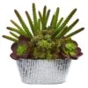 11” Echeveria And Cactus Artificial Plant In White Tin Planter -Artificial Flowers Sale artificial 11 echeveria and cactus artificial plant in white tin planter nearly natural 592779