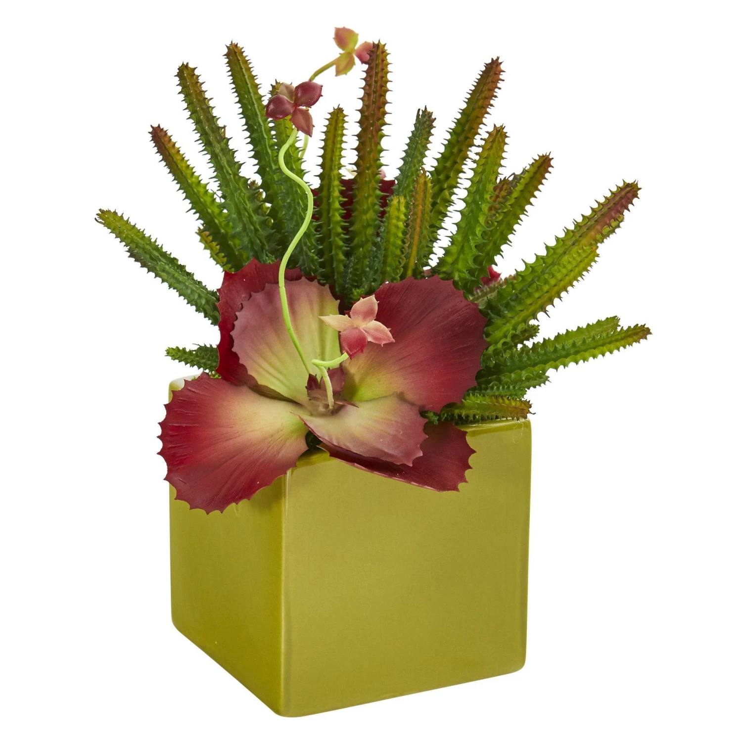 11” Succulent Artificial Plant In Green Planter 5 11” Succulent Artificial Plant In Green Planter - Image 3