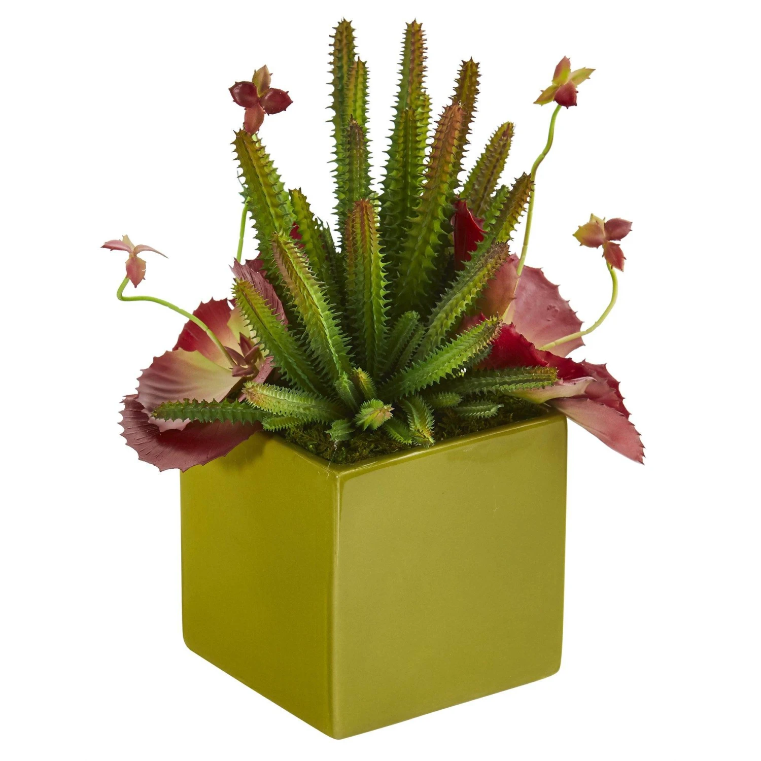11” Succulent Artificial Plant In Green Planter 3 11” Succulent Artificial Plant In Green Planter