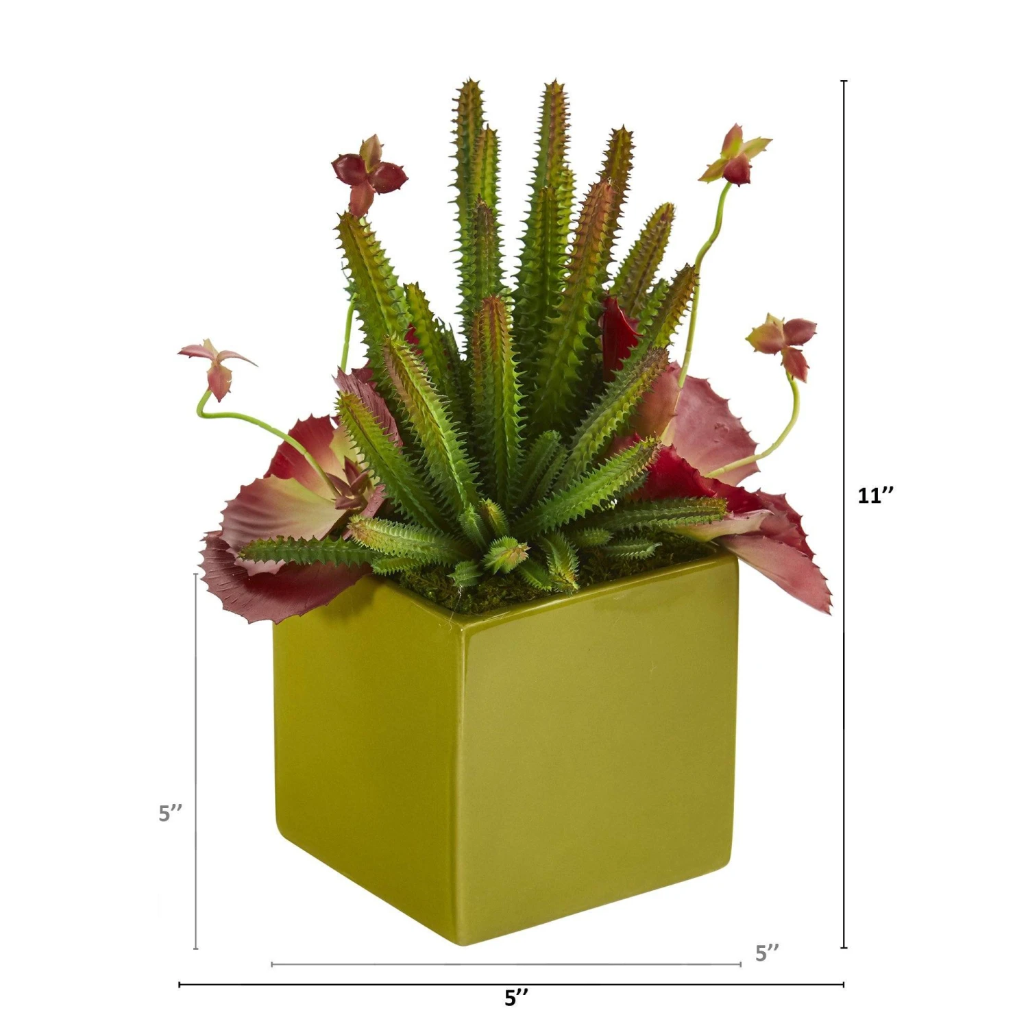 11” Succulent Artificial Plant In Green Planter 4 11” Succulent Artificial Plant In Green Planter - Image 2
