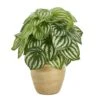 11” Watermelon Peperomia Artificial Plant In Ceramic Planter (Real Touch) -Artificial Flowers Sale artificial 11 watermelon peperomia artificial plant in ceramic planter real touch nearly natural 846194