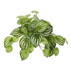 11” Watermelon Peperomia Hanging Artificial Bush Plant (Set Of 12) (Real Touch)