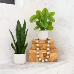 12" Artificial Calathea Plant With Decorative Planter -Artificial Flowers Sale artificial 12 artificial calathea plant with decorative planter plant in planter nearly natural 553672