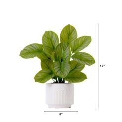 12" Artificial Calathea Plant With Decorative Planter -Artificial Flowers Sale artificial 12 artificial calathea plant with decorative planter plant in planter nearly natural 667065