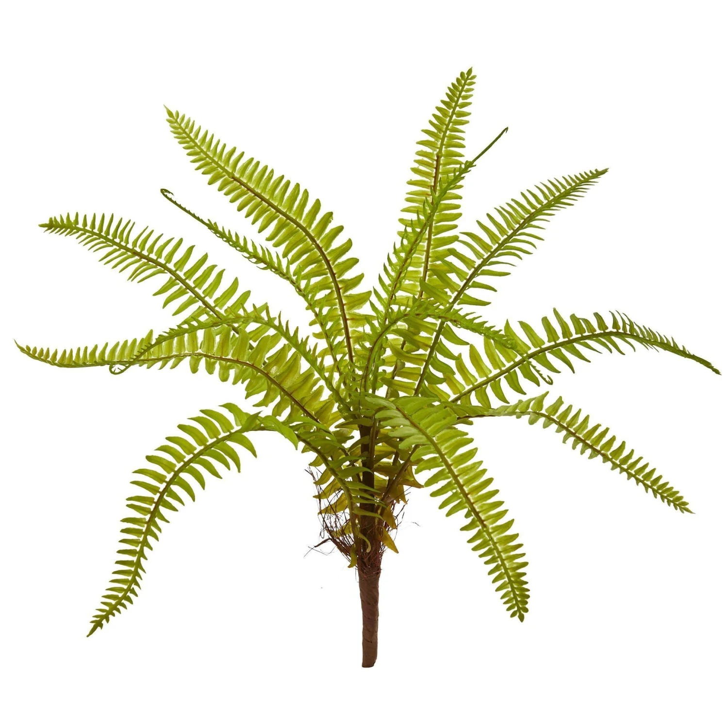 12” Fern Artificial Plant (Set Of 12) 3 12” Fern Artificial Plant (Set Of 12)