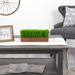 12” Grass Artificial Plant In Decorative Planter 10 12” Grass Artificial Plant In Decorative Planter -Artificial Flowers Sale artificial 12 grass artificial plant in decorative planter nearly natural 158507