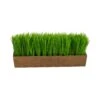 12” Grass Artificial Plant In Decorative Planter -Artificial Flowers Sale artificial 12 grass artificial plant in decorative planter nearly natural 296935