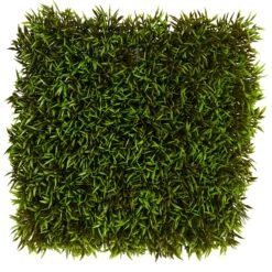12” Mini Podocarpus Artificial Wall Mat (Indoor/Outdoor) (Set Of 6) Trellis -Artificial Flowers Sale artificial 12 mini podocarpus artificial wall mat indooroutdoor set of 6 nearly natural 799935