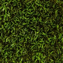 12” Mini Podocarpus Artificial Wall Mat (Indoor/Outdoor) (Set Of 6) Trellis -Artificial Flowers Sale artificial 12 mini podocarpus artificial wall mat indooroutdoor set of 6 nearly natural 873849