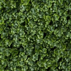 12” Succulent Artificial Wall Mat (Indoor/Outdoor) (Set Of 6) 15 12” Succulent Artificial Wall Mat (Indoor/Outdoor) (Set Of 6) -Artificial Flowers Sale artificial 12 succulent artificial wall mat indooroutdoor set of 6 nearly natural 202564