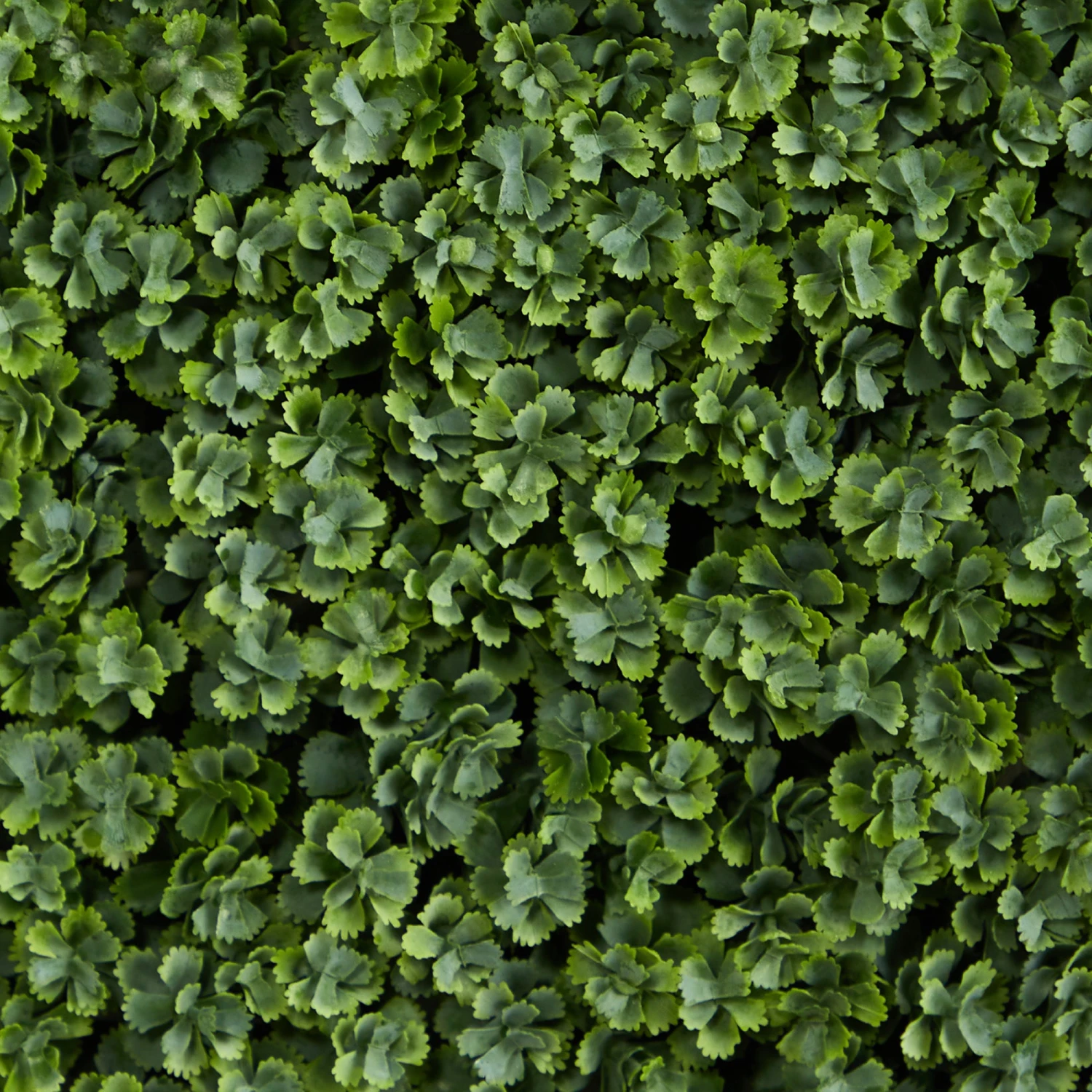 12” Succulent Artificial Wall Mat (Indoor/Outdoor) (Set Of 6) 8 12” Succulent Artificial Wall Mat (Indoor/Outdoor) (Set Of 6) - Image 6