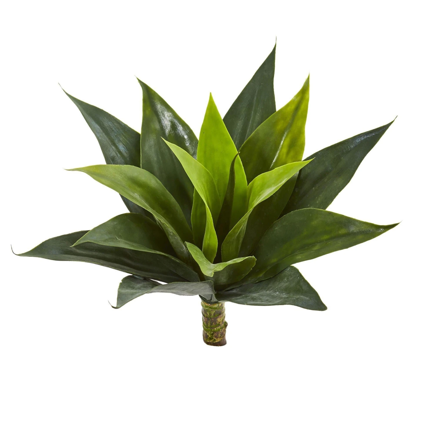 13” Agave Succulent Artificial Plant (Set Of 6) 3 13” Agave Succulent Artificial Plant (Set Of 6)