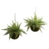 13" Leather Fern Hanging Basket W/ Moss - Set Of 2 + (Indoor/Outdoor) -Artificial Flowers Sale artificial 13 leather fern wmossy hanging basket set of 2 indooroutdoor nearly natural 836456