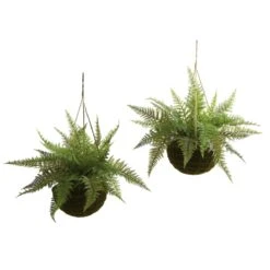 13" Leather Fern Hanging Basket W/ Moss - Set Of 2 + (Indoor/Outdoor)