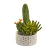 13” Mixed Succulent And Cactus Artificial Plant In Decorative Planter