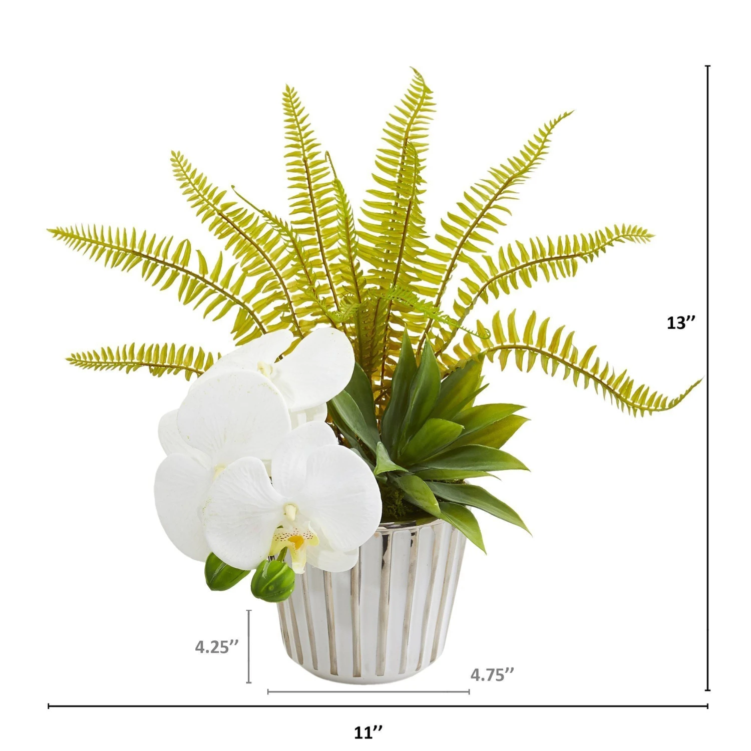 13” Phalaenopsis Orchid, Agave And Fern Artificial Arrangement (Set Of 2) 4 13” Phalaenopsis Orchid, Agave And Fern Artificial Arrangement (Set Of 2) - Image 2