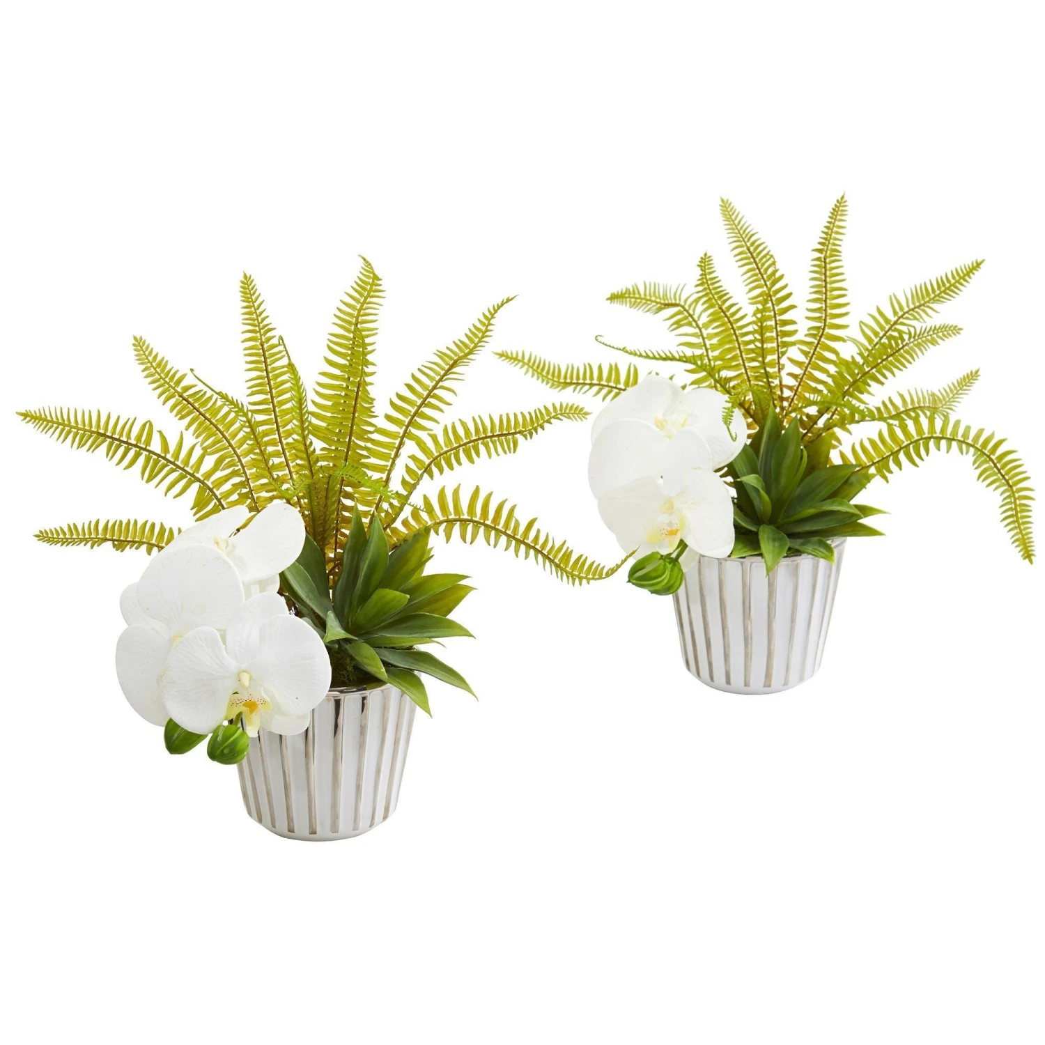 13” Phalaenopsis Orchid, Agave And Fern Artificial Arrangement (Set Of 2) 3 13” Phalaenopsis Orchid, Agave And Fern Artificial Arrangement (Set Of 2)