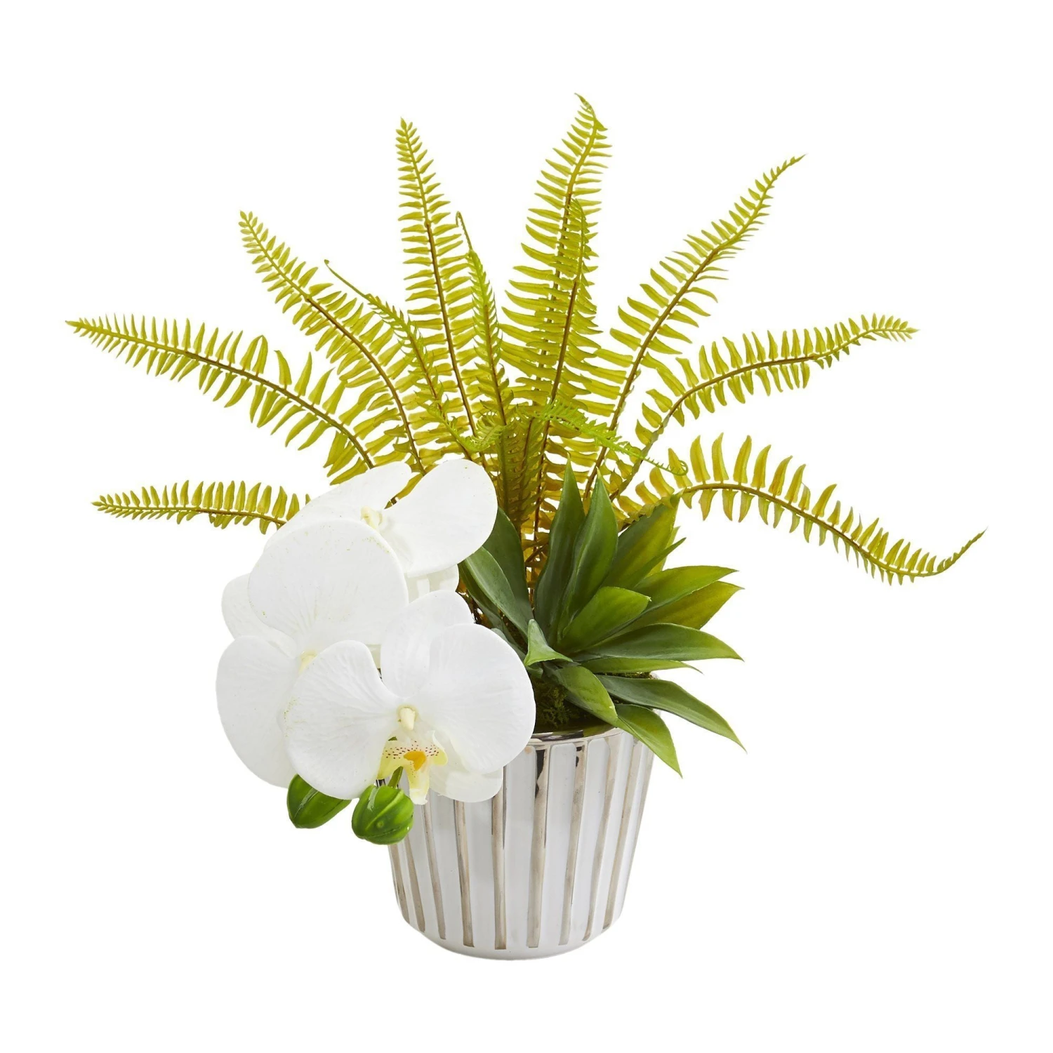 13” Phalaenopsis Orchid, Agave And Fern Artificial Arrangement (Set Of 2) 5 13” Phalaenopsis Orchid, Agave And Fern Artificial Arrangement (Set Of 2) - Image 3