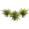 14” Assorted Ferns With Planter Artificial Plant (Set Of 3) -Artificial Flowers Sale artificial 14 assorted ferns with planter artificial plant set of 3 nearly natural 261339