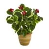 14” Variegated Holly Leaf Artificial Plant In Ceramic Planter (Real Touch) -Artificial Flowers Sale artificial 14 variegated holly leaf artificial plant in ceramic planter real touch nearly natural 552787