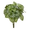 14” Watermelon Peperomia Artificial Plant (Set Of 6) (Real Touch) -Artificial Flowers Sale artificial 14 watermelon peperomia artificial plant set of 6 real touch nearly natural 261946