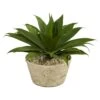 1.5’ Agave Succulent Artificial Plant In White Planter -Artificial Flowers Sale artificial 15 agave succulent artificial plant in white planter nearly natural 163729