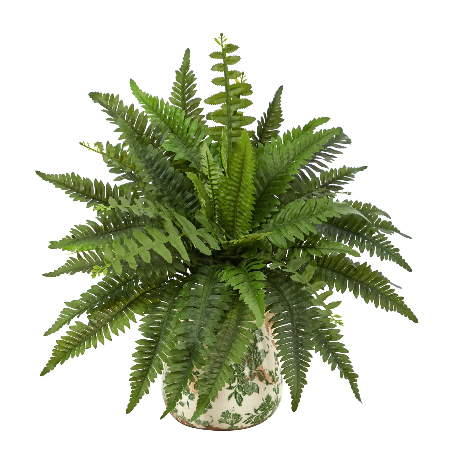15” Boston Fern Artificial Plant With Tuscan Ceramic Green Scroll Planter 3 15” Boston Fern Artificial Plant With Tuscan Ceramic Green Scroll Planter