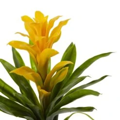 15” Artificial Bromeliad Flower (Set Of 4) 15 15” Artificial Bromeliad Flower (Set Of 4) -Artificial Flowers Sale artificial 15 bromeliad artificial flower set of 4 nearly natural 541924