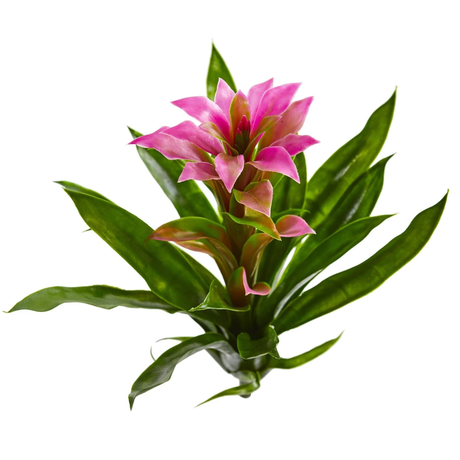 15” Artificial Bromeliad Flower (Set Of 4) 4 15” Artificial Bromeliad Flower (Set Of 4) - Image 2