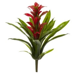 15” Artificial Bromeliad Flower (Set Of 4) 11 15” Artificial Bromeliad Flower (Set Of 4) -Artificial Flowers Sale artificial 15 bromeliad artificial flower set of 4 nearly natural red 472753
