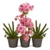 15” Cherry Blossom And Cactus Artificial Arrangement In Trio Metal Vase 1 15” Cherry Blossom And Cactus Artificial Arrangement In Trio Metal Vase -Artificial Flowers Sale artificial 15 cherry blossom and cactus artificial arrangement in trio metal vase nearly natural 176238
