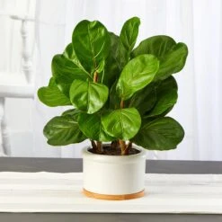 15” Fiddle Leaf Artificial Tree In White Planter -Artificial Flowers Sale artificial 15 fiddle leaf artificial tree in white planter nearly natural 382402