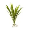 15” Grass Artificial Plant (Set Of 6) -Artificial Flowers Sale artificial 15 grass artificial plant set of 6 nearly natural 596704