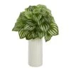 15” Watermelon Peperomia Artificial Plant In White Planter (Real Touch) 1 15” Watermelon Peperomia Artificial Plant In White Planter (Real Touch) -Artificial Flowers Sale artificial 15 watermelon peperomia artificial plant in white planter real touch nearly natural 267200