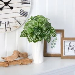 15” Watermelon Peperomia Artificial Plant In White Planter (Real Touch) 7 15” Watermelon Peperomia Artificial Plant In White Planter (Real Touch) -Artificial Flowers Sale artificial 15 watermelon peperomia artificial plant in white planter real touch nearly natural 655422