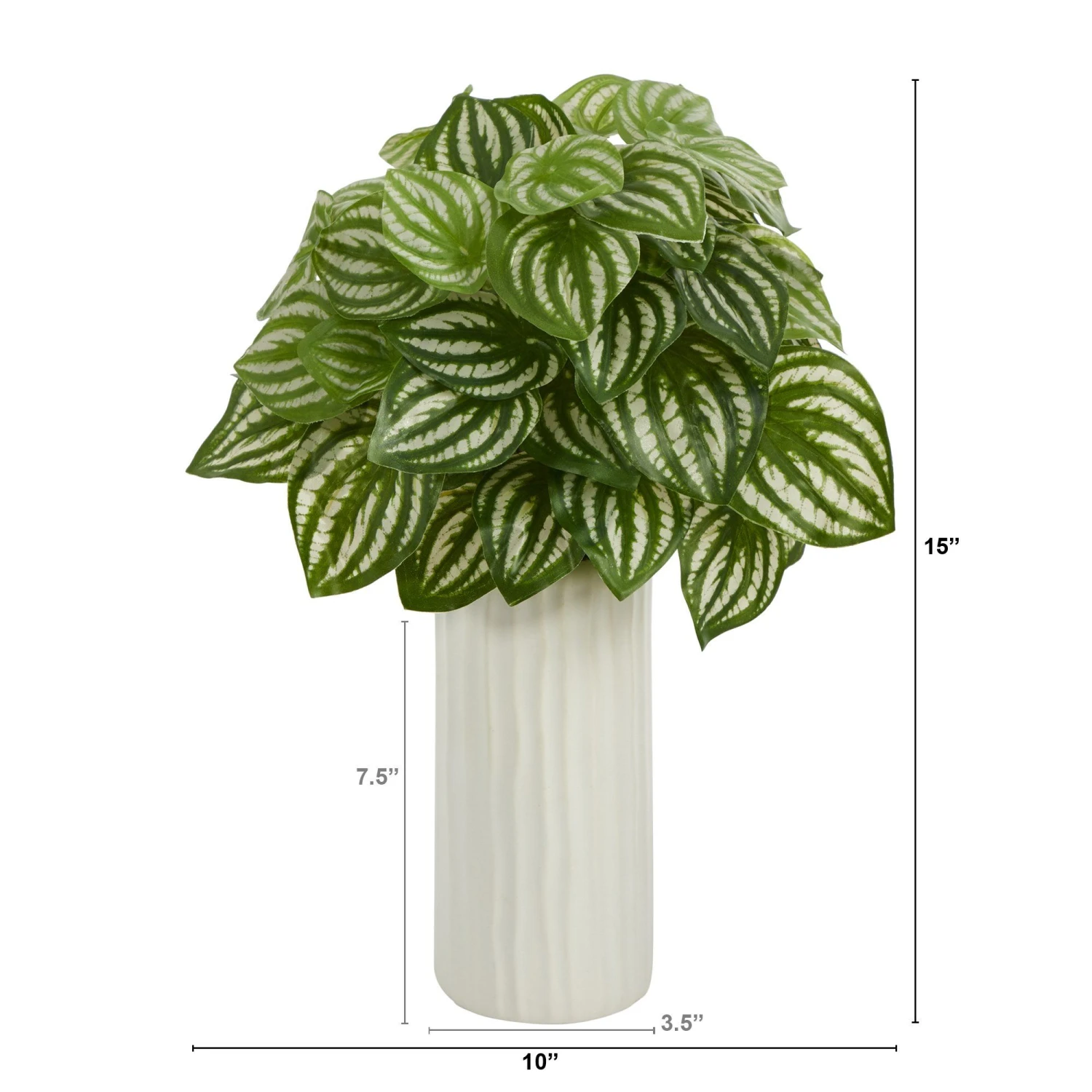 15” Watermelon Peperomia Artificial Plant In White Planter (Real Touch) 4 15” Watermelon Peperomia Artificial Plant In White Planter (Real Touch) - Image 2