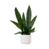 16" Artificial Sansevieria Snake Plant With Decorative Planter 2 16" Artificial Sansevieria Snake Plant With Decorative Planter -Artificial Flowers Sale artificial 16 artificial sansevieria snake plant with decorative planter plant in planter nearly natural 412243