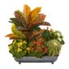 16” Croton, Kalanchoe And Cactus Artificial Plant In In Metal Tray -Artificial Flowers Sale artificial 16 croton kalanchoe and cactus artificial plant in in metal tray nearly natural 336100
